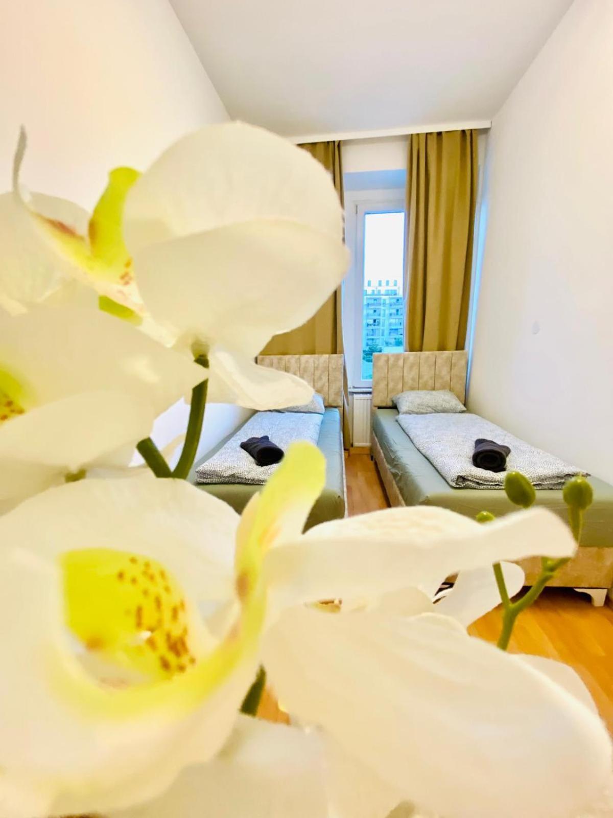 Bright 5Br Shared Apartment W Great Transport Link Вена Экстерьер фото